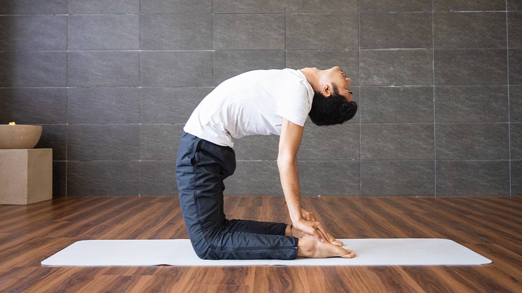 Top 8 Yoga Poses to Reduce Belly Fat 7 Ustrasana-(Camel-Pose)